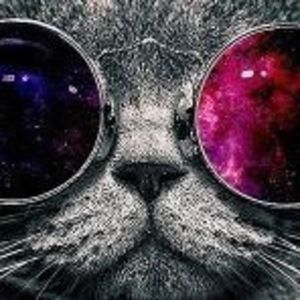 Meet your Posher, Wanda